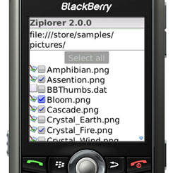 Ziplorer for BlackBerry Wireless Handheld