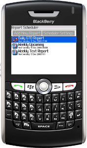 TaskReports for BlackBerry Wireless Handheld